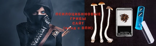 каннабис Дмитров