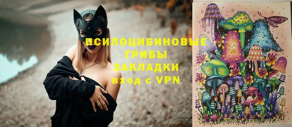2c-b Дмитриев