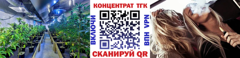 купить наркотики цена  Новоалександровск  Дистиллят ТГК концентрат 